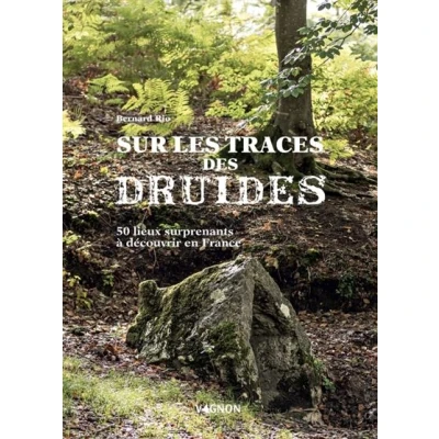 Image de Sur la trace des druides