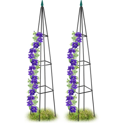 Afbeelding van plantensteun obelisk set van 2 190 x 35 cm klimplanten metaal vrijstaand