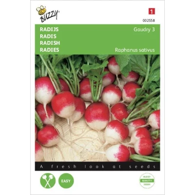 Afbeelding van Radijs Gaudry 3, Ronde Rode Witpunt Buzzy