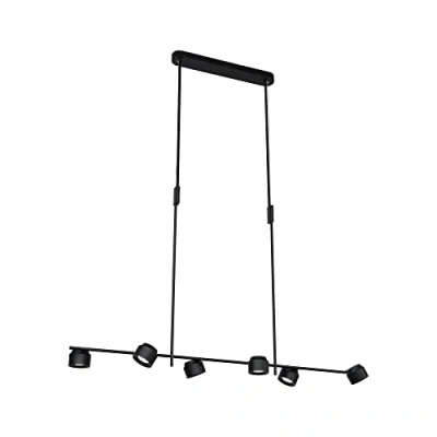 Afbeelding van Paulmann Pane 79783 LED hanglamp 36 W Zwart