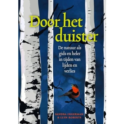 Afbeelding van Door het duister