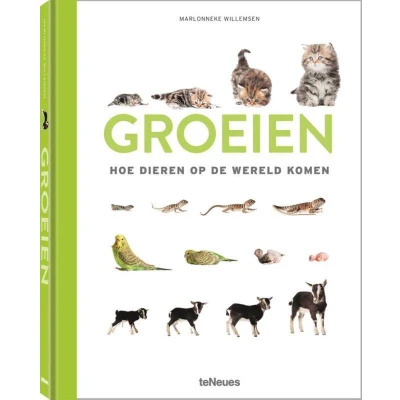 Afbeelding van Groeien