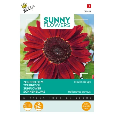 Afbeelding van Sunny Flowers, Zonnebloem Moulin Rouge Buzzy