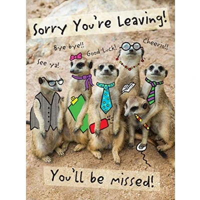 Afbeelding van Piccadilly Greetings Group Ltd Grote moderne startkaart 30,5 x 22,9 cm