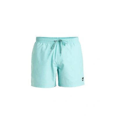 Afbeelding van Quiksilver Everyday Solid 15 Zwemshorts, Heren, Maat: Medium, Bgh