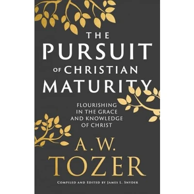 Afbeelding van The Pursuit of Christian Maturity