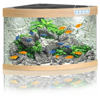 Afbeelding van Juwel Aquarium Trigon 190 Led 70x70x60 cm Aquaria Licht Hout