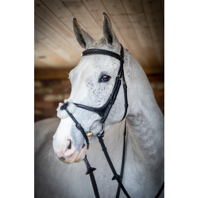 Image de LeMieux Kudos Bride Grackle Noir Full