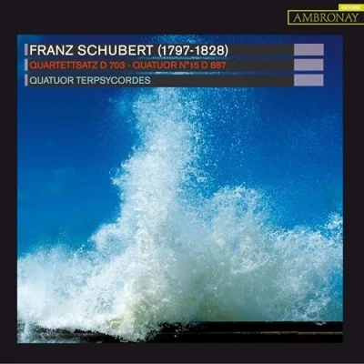Afbeelding van Terpsycordes Quartet Quartettsatz D703 (CD)