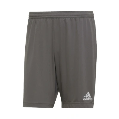 Afbeelding van adidas Performance Entrada 22 Korte broeken, Heren, Maat: XL, Grey