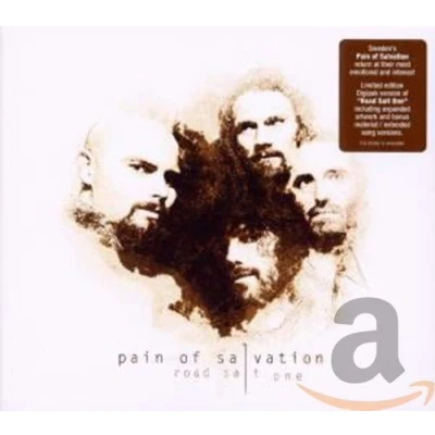 Afbeelding van Pain Of Salvation Road Salt One