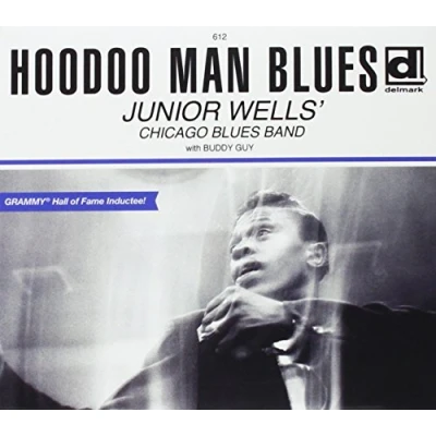 Afbeelding van Junior Wells Hoodoo Man Blues (Ext. Ed.) (CD)