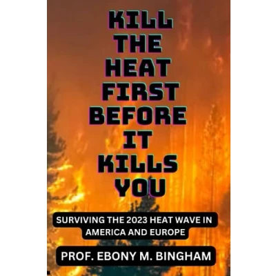 Afbeelding van Kill the Heat First Before It Kills You