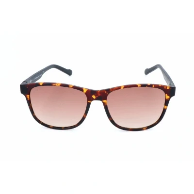 Afbeelding van Zonnebril Heren Adidas AOR031 092 009 ø 54 mm