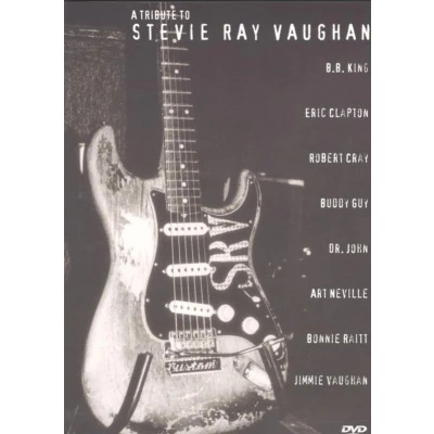Afbeelding van Stevie Ray Vaughan Tribute to