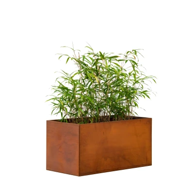 Afbeelding van Cortenstaal Bloembak Hudson Groot 120x60x60cm