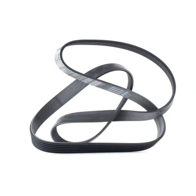 Afbeelding van Poly V riem DAYCO 6PK1510