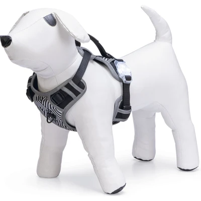 Afbeelding van Beeztees Safety Gear Parinca Premium Y Tuig Hondentuig LED Nylon Zwart 38 51 cm x 15 mm