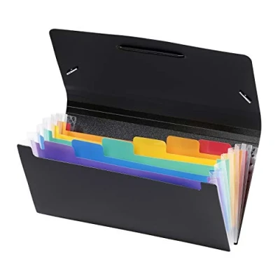 Afbeelding van Viquel Rainbow Class opbergmap voor kantoor documententas met 6 posities organizer uittrekbaar kunststof sorteermap