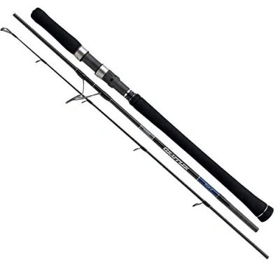 Afbeelding van Rod 20Game Type Jigging Spin