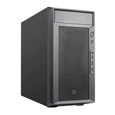 Afbeelding van SilverStone FARA 311