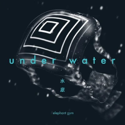 Afbeelding van Elephant Gym Underwater (LP)