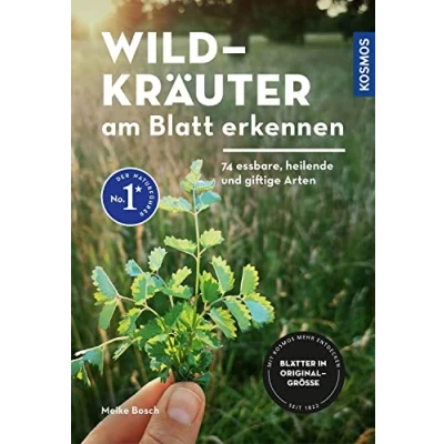 Afbeelding van Wildkräuter am Blatt erkennen