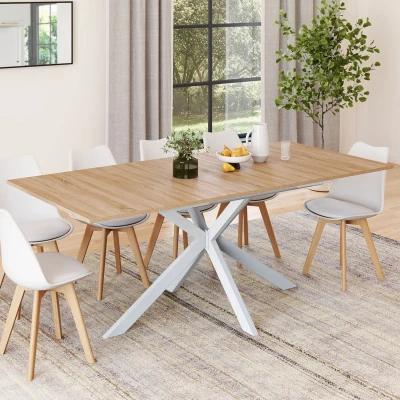 Afbeelding van Table à manger extensible rectangle ALIX 6 10 personnes bois et blanc 160 200 cm