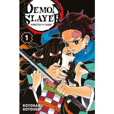 Image de Demon Slayer T01