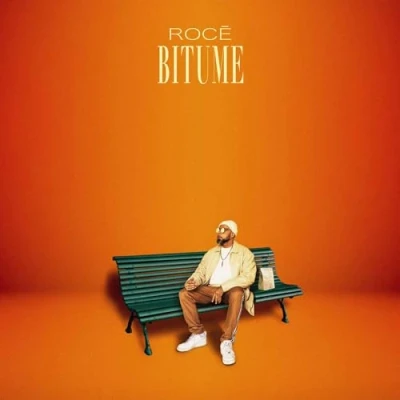 Afbeelding van Rocé Bitume (LP)