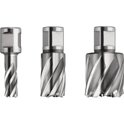 Afbeelding van Fein 63134200301 Kernboor 20 mm 1 stuk(s)