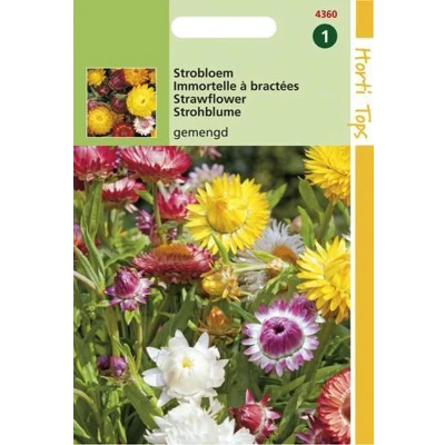 Afbeelding van Helichrysum Bract. Monstrosum Gemengd Hortitops
