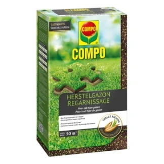 Afbeelding van COMPO Gazonzaad Herstelgazon voor eenvoudig herstel van beschadigde gazons snelle kieming doos 1 kg (50 m²)