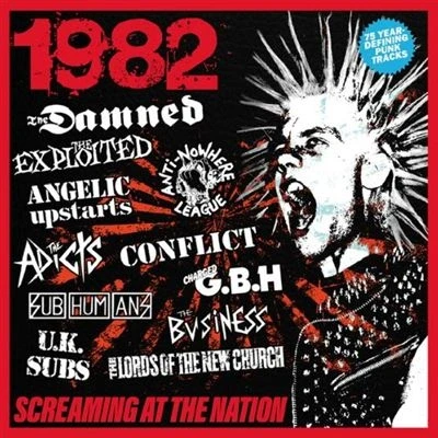 Image de 1982 : Screaming At The Nation Coffret