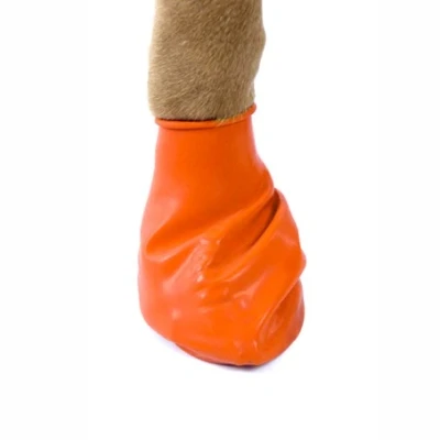Afbeelding van Pawz Rubber Dog Boots Hondenschoen Oranje X Small