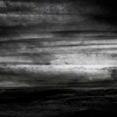 Afbeelding van Stray Dogs Wasteland (LP)