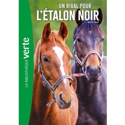 Image de L&#039;Etalon noir 14 NED Un rival pour l&#039;étalon