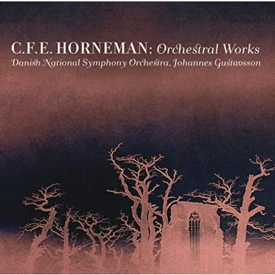 Afbeelding van Danish National Symphony Orchestra, Johannes Gustavsson Horneman: Orchestral Works (Super Audio CD)