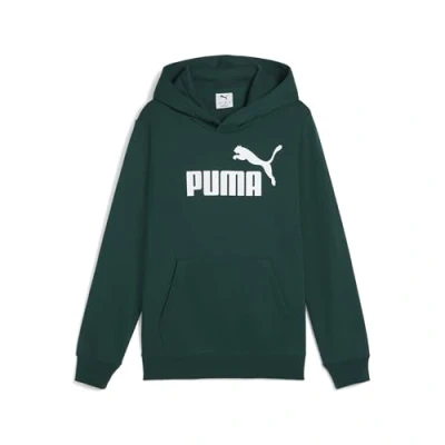 Afbeelding van ESS No. 1 logo hoodie voor Heren, Maat 13 14Y PUMA