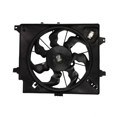 Afbeelding van MAGNETI MARELLI 069422789010 Radiator Ventilator 392 12 156