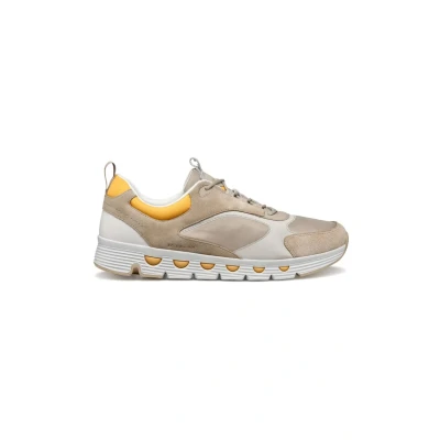Afbeelding van Geox Spherica ECUB Sneakers laag, Heren, Maat: 41, Beige Leer