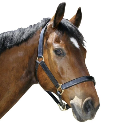 Afbeelding van Covalliero Lederen Halster Bruin Full size