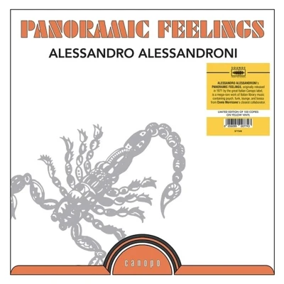 Afbeelding van Alessandro Alessandroni Panoramic Feelings (LP) (Coloured Vinyl)