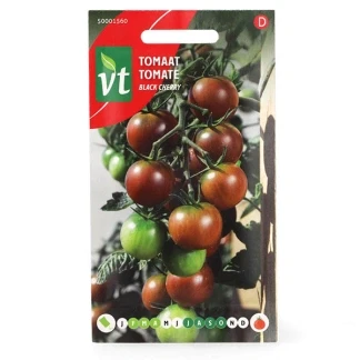Afbeelding van Tomaat Black Cherry een excellente, sappige variëteit met zoete smaak.
