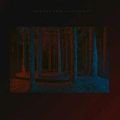 Afbeelding van Tilman Robinson Culturecide (LP)