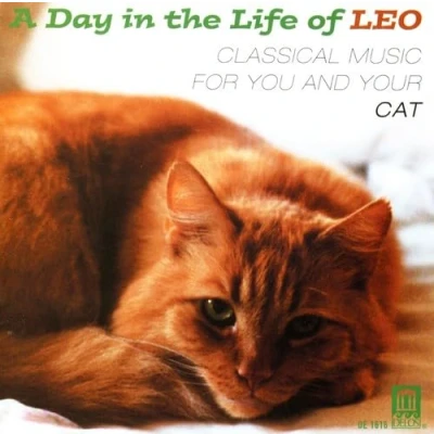 Afbeelding van A Day in the Life of Leo Music for You and Your Cat