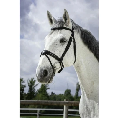 Afbeelding van Norton Hoofdstel Pro Soft Zwart Full