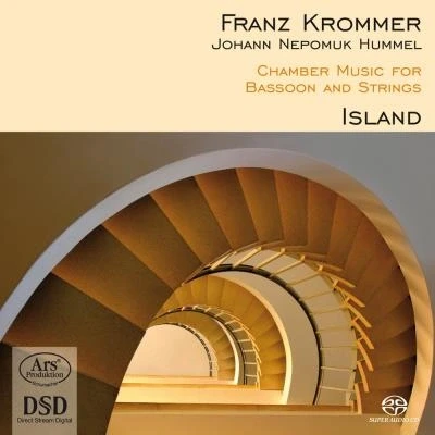 Image de Musique de chambre pour basson et cordes