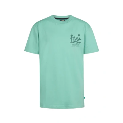 Afbeelding van Petrol Industries BACK print Tetons Tshirt voor kinderen, Maat: 140, Pale aqua