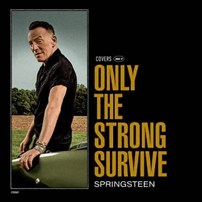 Afbeelding van Bruce Springsteen Only The Strong Survive (CD)
